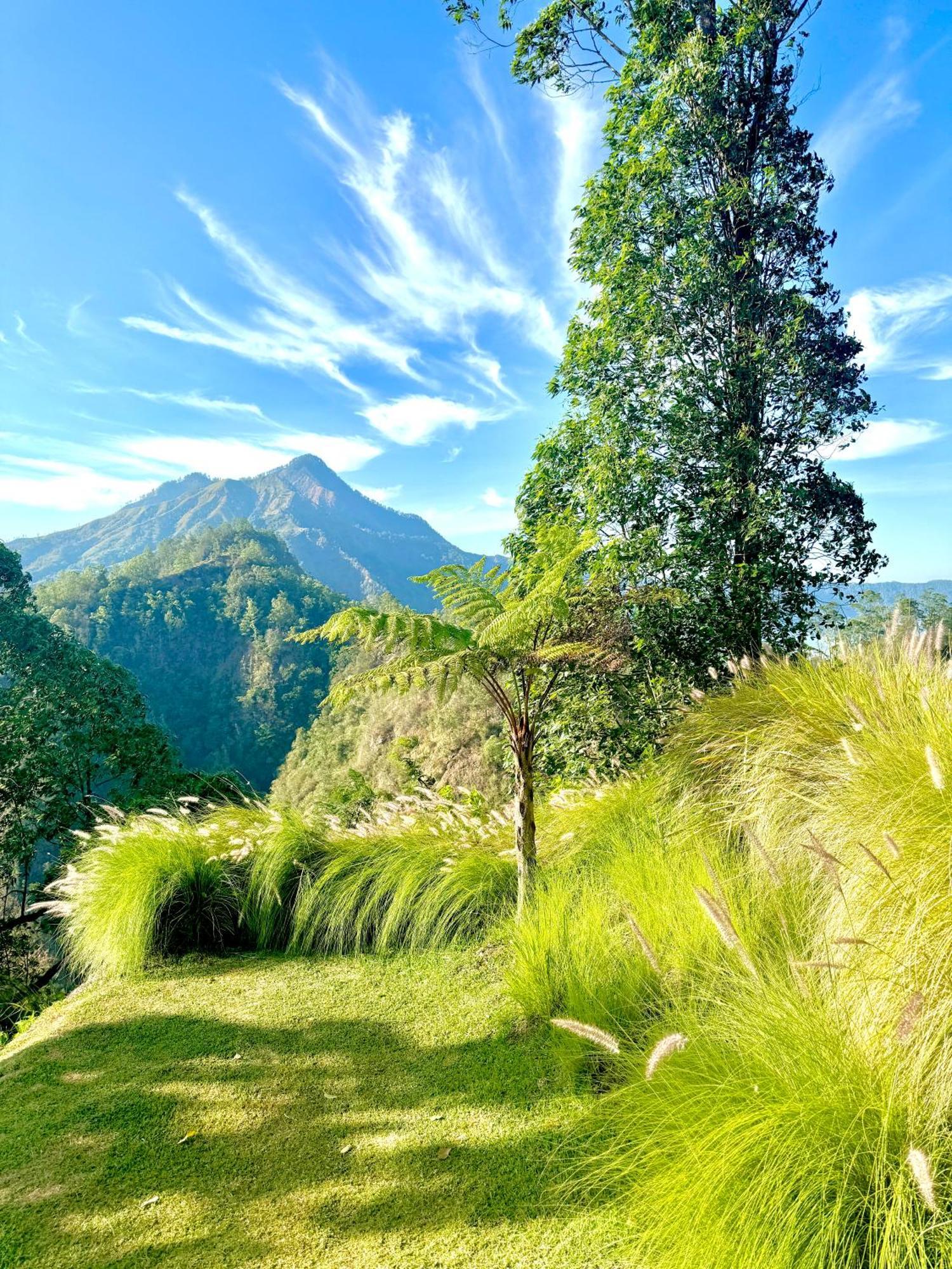 Alengkong Bali Camp Hotell Bangli Eksteriør bilde